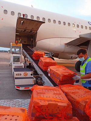 柳州機(jī)場貨運(yùn):特殊旅客&ldquo;雞苗&rdquo;運(yùn)輸背后的故事